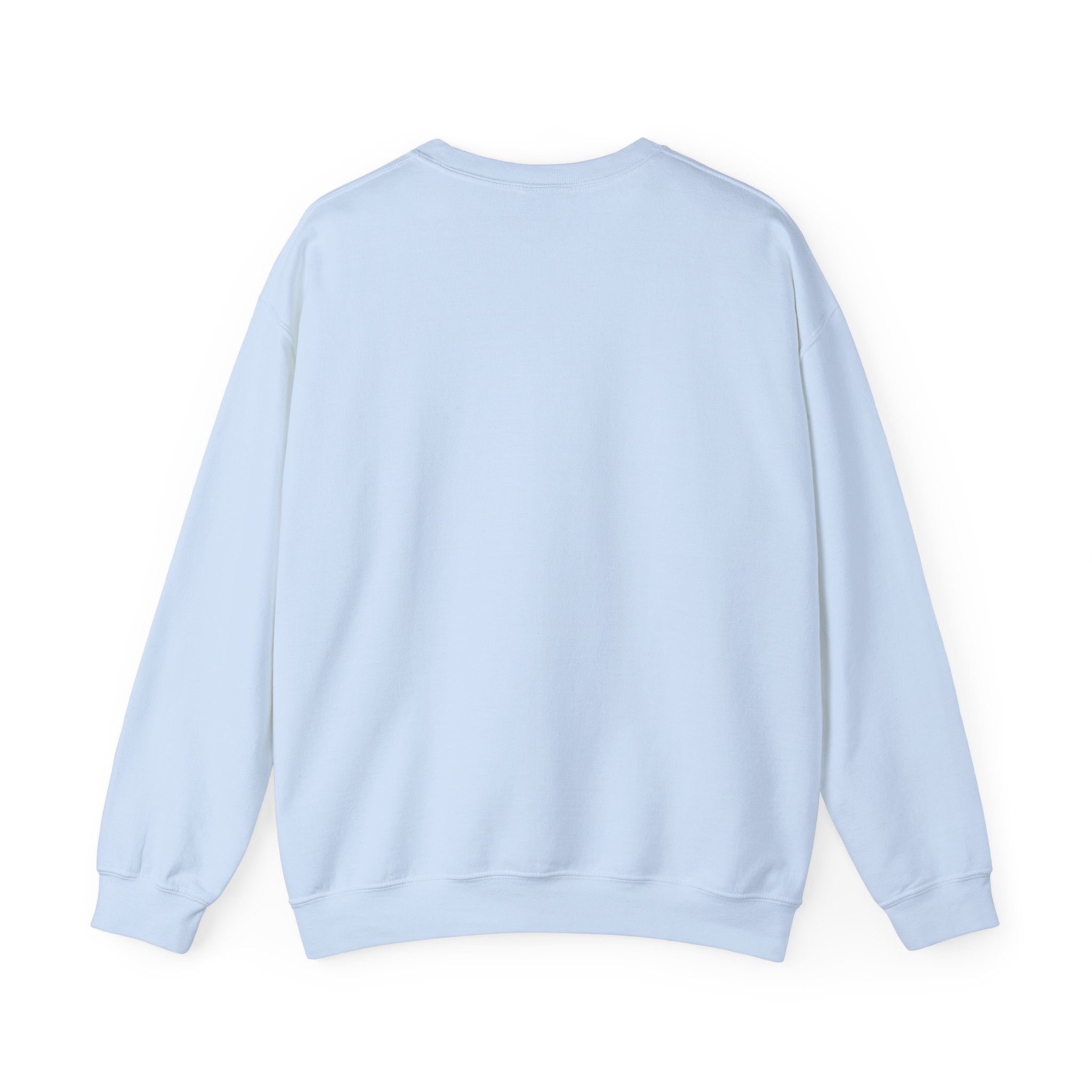 Bluza - ,,Wi-fi’’ (Przód)